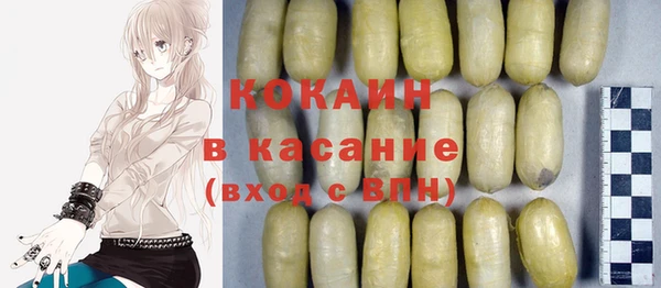 индика Бородино