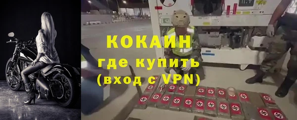 индика Бородино