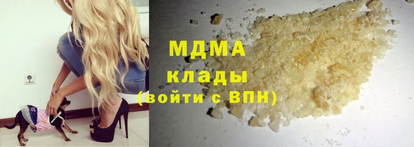 индика Бородино