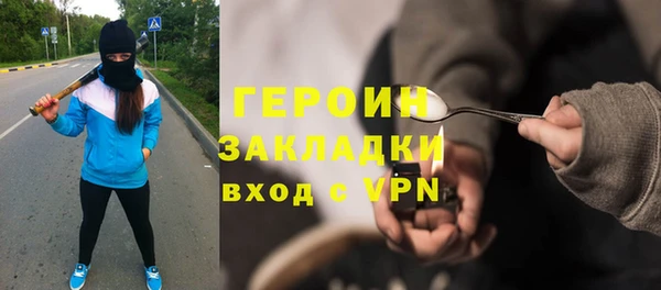 индика Бородино