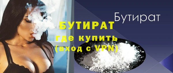 индика Бородино