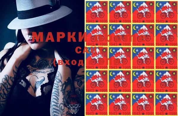индика Бородино