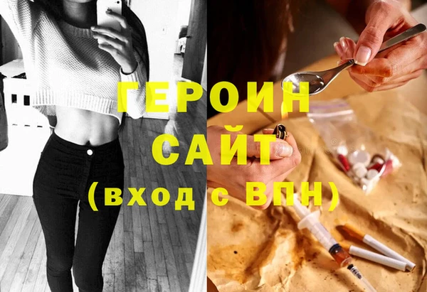 индика Бородино