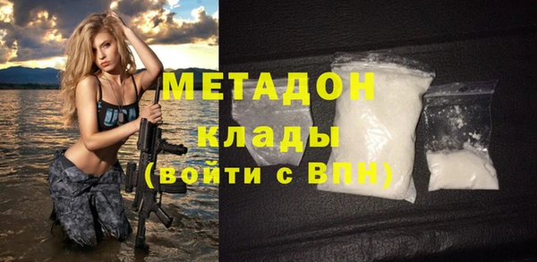 индика Бородино