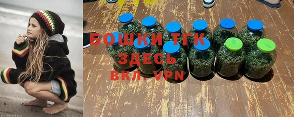 spice Бугульма