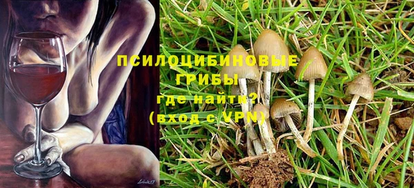 индика Бородино