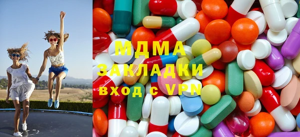 индика Бородино