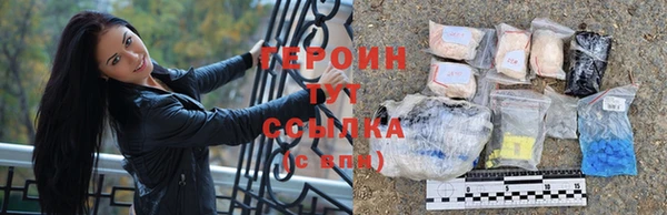 индика Бородино