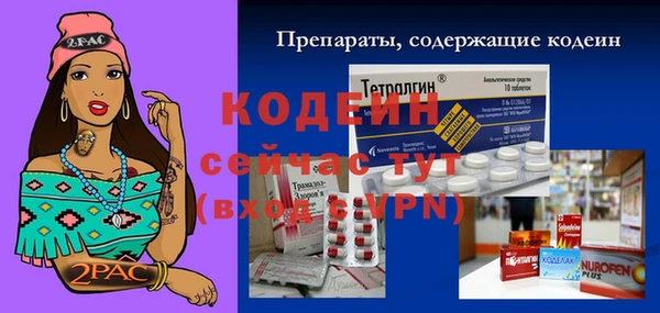 индика Бородино