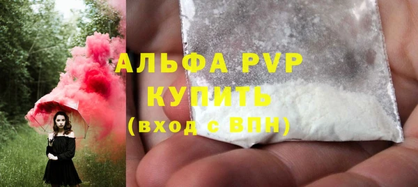 индика Бородино