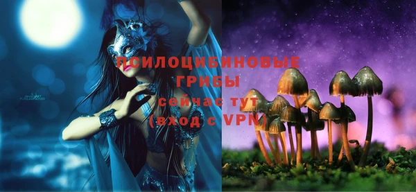 мдпв Ельня