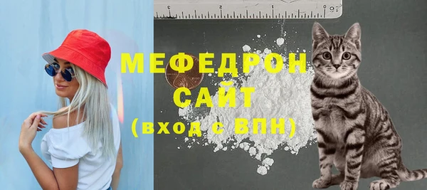 индика Бородино
