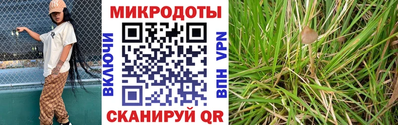 Псилоцибиновые грибы прущие грибы  Вуктыл 